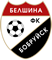 Belshina Bobruysk