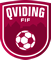 Qviding FIF